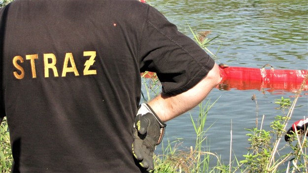 Tajemniczy sygnał "Mayday" nadany przez pilota nad Wielkopolską