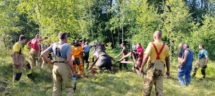 W akcji uczestniczyło niemal 40 strażaków /KP PSP Kartuzy /