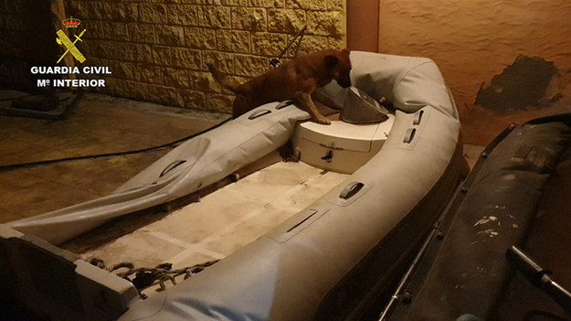 W akcji uczestniczyły również psy tropiące /La Guardia Civil /