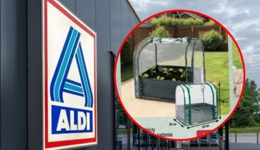 W Aldi rusza oferta „Zadbany ogród”. Tanie narzędzia na początek sezonu