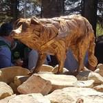 W Amatrice odsłonięto pomnik psa ratownika. "Stanowiła to, co najlepsze we Włoszech"