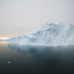 W Antarktyce może powstać największy rezerwat przyrody na świecie