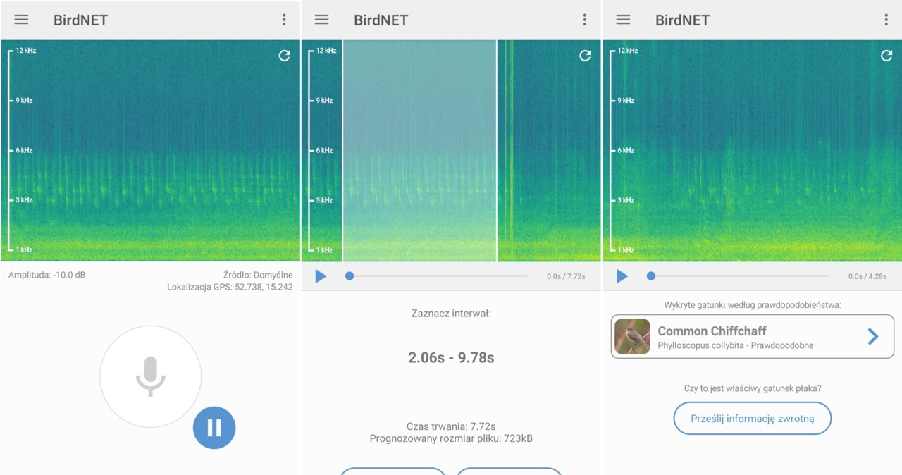 W aplikacji BirdNET samodzielnie trzeba zaznaczyć fragment nagrania do analizy, ale wyniki wyszukiwania są poprawne /Karol Kubak /domena publiczna