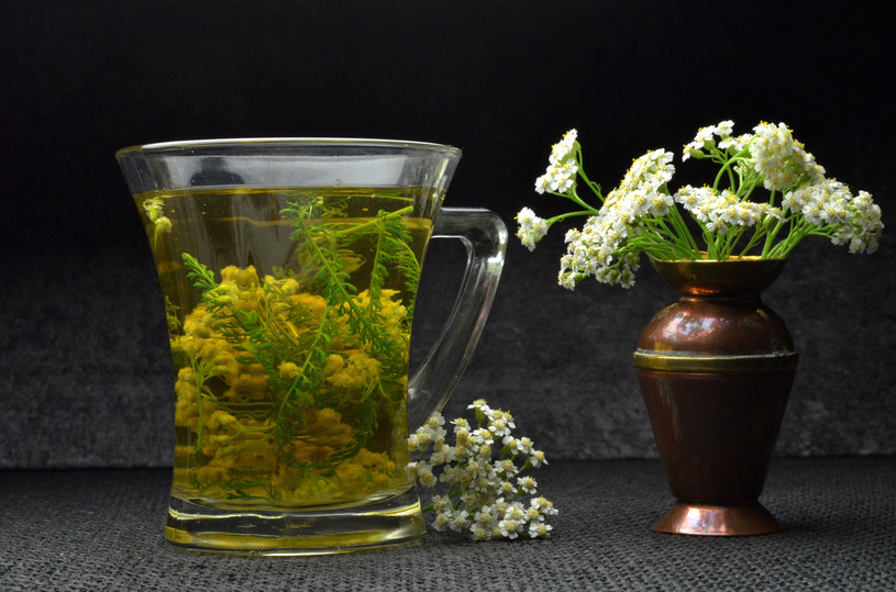 W aptekach i sklepach zielarskich kupisz herbatę z krwawnika /123RF/PICSEL