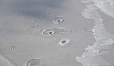 W Arktyce pojawiły się tajemnicze dziury w lodzie. Zobaczcie najnowsze zdjęcia
