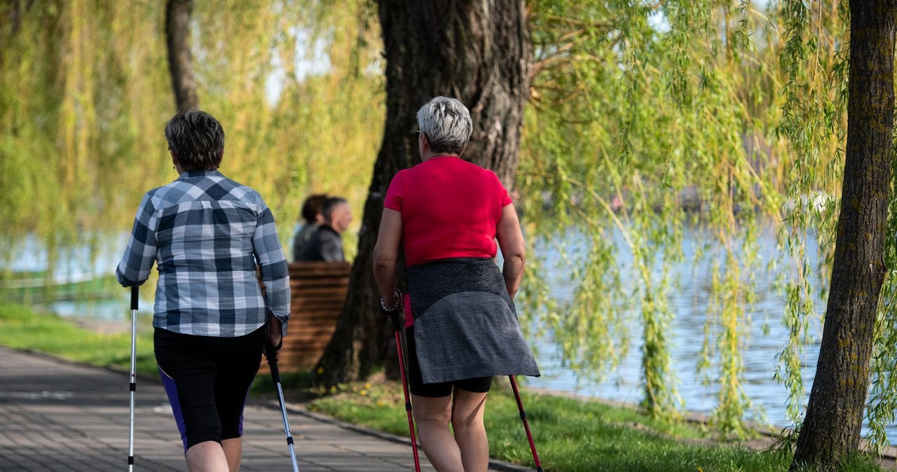 W Augustowie można uprawiać różne aktywności. /FORUM