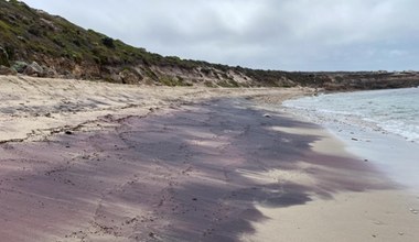 W Australii odkryto fioletowy piasek. Nie uwierzycie, skąd się tam wziął