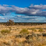 W Australii odnaleziono dziesiątki artefaktów. Niektóre sprzed 47 tys. lat