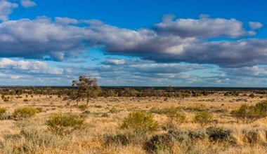 W Australii odnaleziono dziesiątki artefaktów. Niektóre sprzed 47 tys. lat