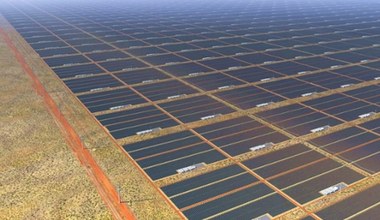 W Australii powstanie gigantyczna farma solarna. Będzie 10 razy większa od obecnie największej