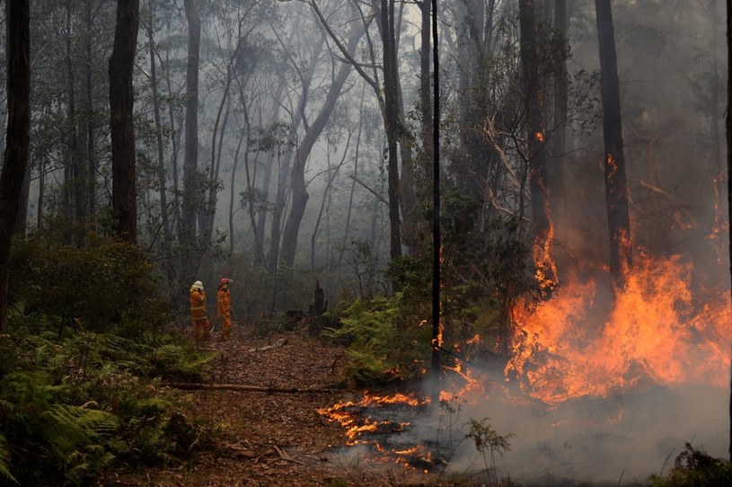 W Australii szaleją pożary /PAP/EPA