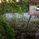 W bagnie pełnym zwierząt urządzili offroad. Czy złamali prawo?