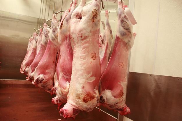 W baraninie było 5 proc. mięsa baraniego i 95 proc. mięsa z kaczek /&copy;123RF/PICSEL