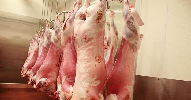 W baraninie było 5 proc. mięsa baraniego i 95 proc. mięsa z kaczek /&copy;123RF/PICSEL