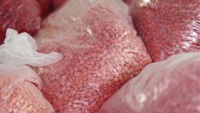 W Belgii rozbito gang narkotykowy. Wśród członków byli Polacy