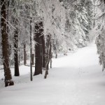​W Beskidach nieco zimy wiosną - w górach spadł śnieg