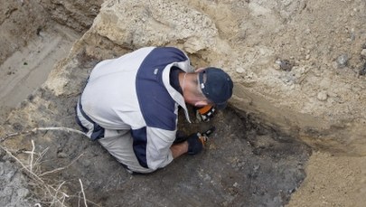 W Białymstoku odkryto szczątki ponad 20 osób. Poszukiwania będą kontynuowane 