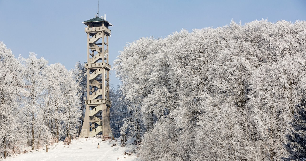 W Bieszczadach pojawiła się nowa wieża widokowa. Zdj. ilustracyjne /Pixel