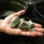 W błocie znaleźli złoto przyszłości. To największe złoża na Ziemi