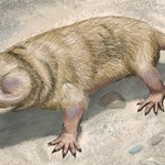 W Brazylii odkryto szczątki najstarszego ssaka na świecie