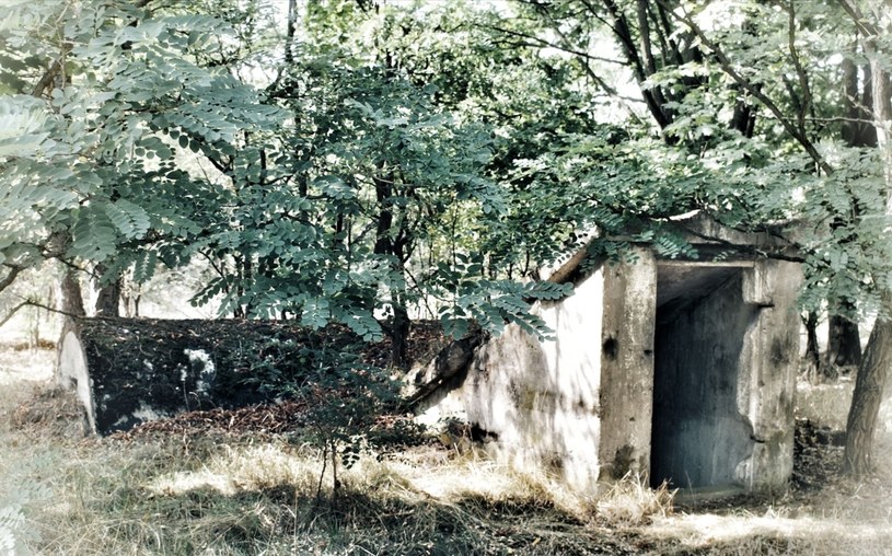 W Bromierzyku znaleźć można wiele pozostałości dawnych schronów z siecią podziemnych korytarzy /Mariusz Jastrzębski /Facebook