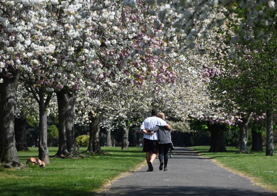 W. Brytania: Kolejnych 761 osób zmarło z powodu koronawirusa, łącznie 12868 /FACUNDO ARRIZABALAGA /PAP/EPA