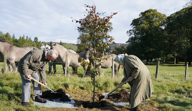 W. Brytania: Królowa Elżbieta II i książę Karol zasadzili drzewo