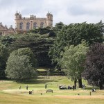 W. Brytania: Polak skazany za wykorzystywanie rodaków do niewolniczej pracy