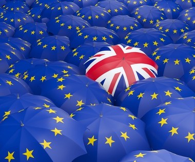 W. Brytania: Zaczął się eksodus obywateli Unii Europejskiej? 