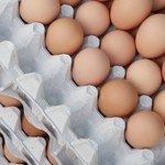 W Bułgarii jajka mocno zdrożały, minister liczy na import z Polski