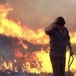 W Bułgarii płoną hektary lasów. Ponad 200 pożarów w ciągu doby