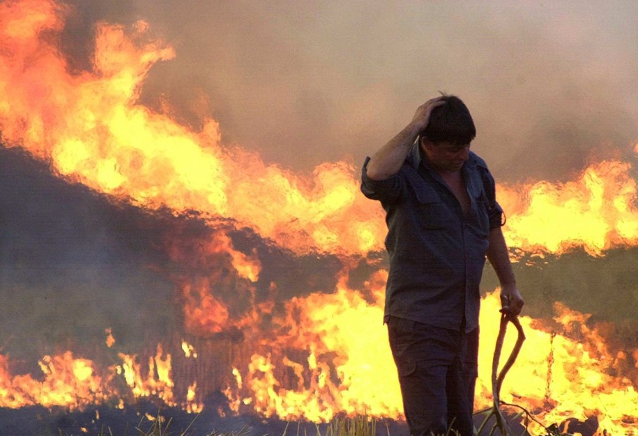 W Bułgarii płoną lasy /MLADEN ANTONOV /PAP