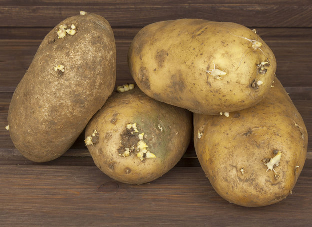 W bulwach ziemniaków znajduje się kwas szczawiowy, który pomoże pozbyć się rdzy i innych zabrudzeń. Sanki będą jak nowe. /123RF/PICSEL