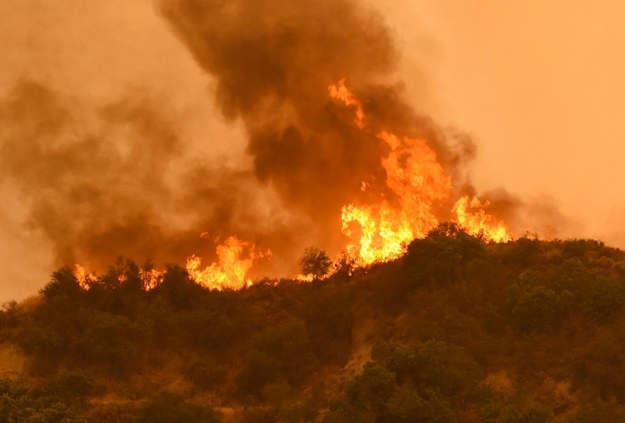 W całej Kalifornii doszło w sobotę do 17 pożarów /MIKE ELIASON/SBC FIRE HANDOUT /PAP/EPA