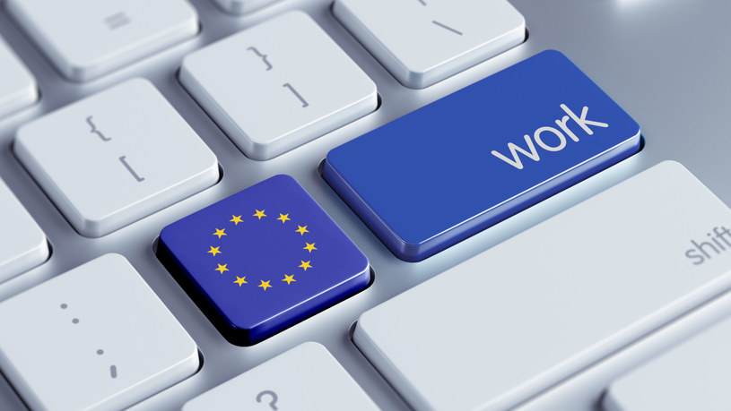 W całej UE brakuje do pracy już 274 tys. informatyków /123RF/PICSEL