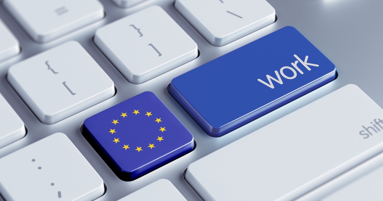 W całej UE brakuje do pracy już 274 tys. informatyków /123RF/PICSEL
