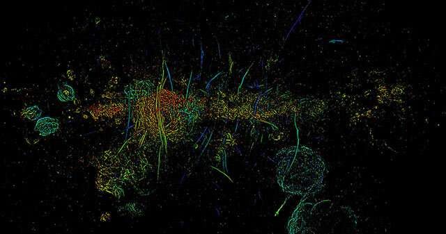 W centrum Drogi Mlecznej znajduje się blisko 1000 tajemniczych nitek. A przynajmniej tak wydawało się badaczom w ubiegłym roku - jest ich znacznie więcej /Northwestern University /materiały prasowe