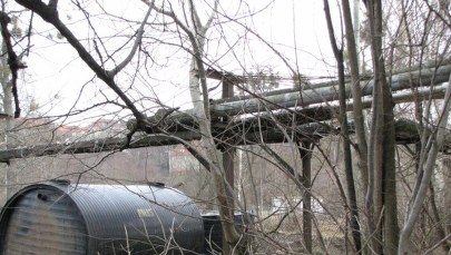 W centrum Olsztyna trzeba wymienić 2 tys. ton skażonej ziemi