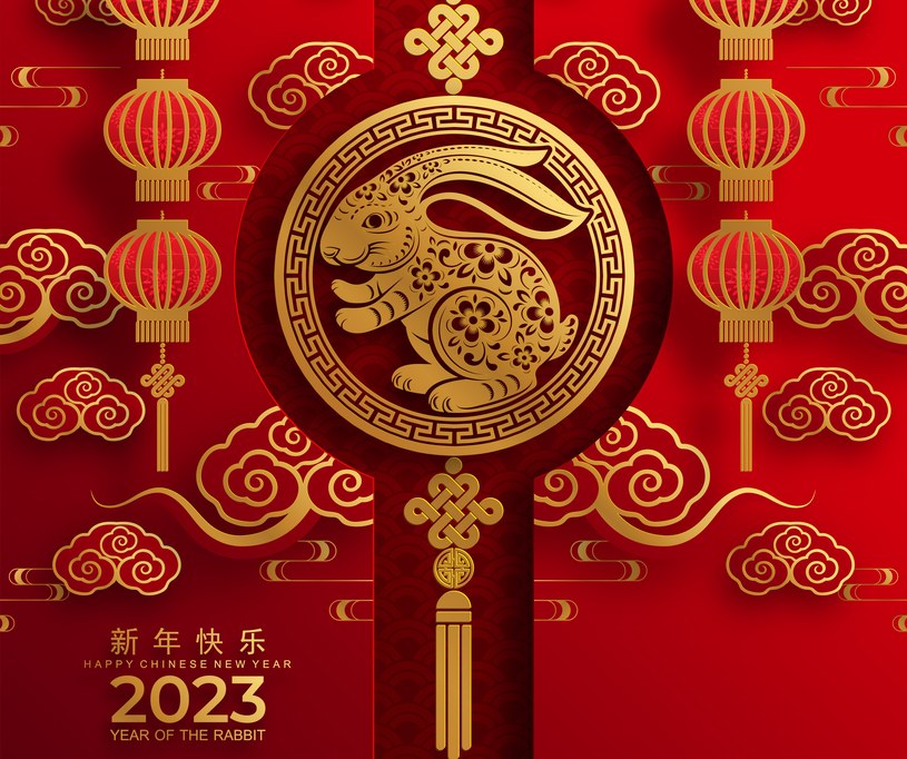 W Chinach jest teraz Rok Królika /123RF/PICSEL