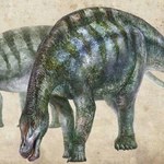 W Chinach odkryto dinozaura, którego nie powinno tam być