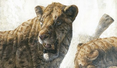 W Chinach odkryto nieznanego szablozębnego kota. Zgryz miał jak u psa