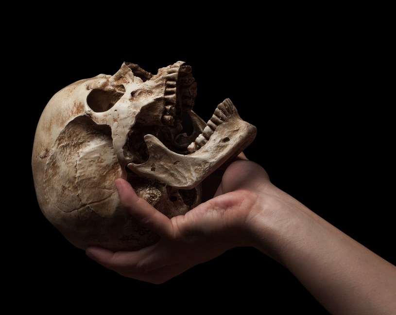 W Chinach odnaleziono hybrydę Homo sapiens, neandertalczyka i denisowianina? Naukowcy ujawniają tajemnicę (zdjęcie ilustracyjne) /coffeemill /123RF/PICSEL