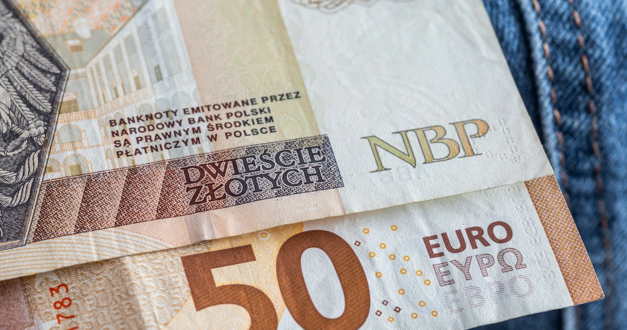 W ciągu dnia złoty stracił do głównych walut /ARKADIUSZ ZIOLEK/East News /East News