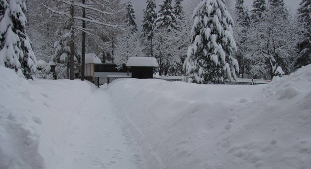 W ciągu doby w Tatrach spadło prawie pół metra świeżego śniegu /Maciej Pałahicki /RMF FM
