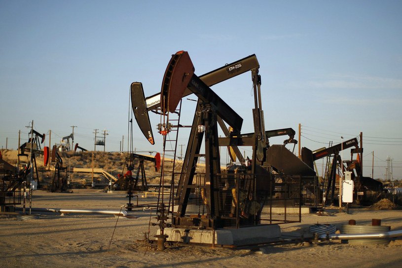 W ciągu tygodnia cena ropy Brent spadła o 6,29 proc. (zdj. ilustracyjne) /David McNew /AFP