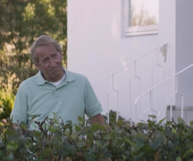 "W cieniu drzewa": Islandzkie poczucie humoru