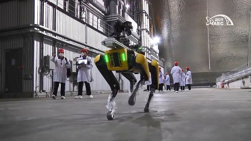 W Czarnobylu pojawił się robo-pies. Ostrzeże o wzroście promieniowania [FILM] /Geekweek