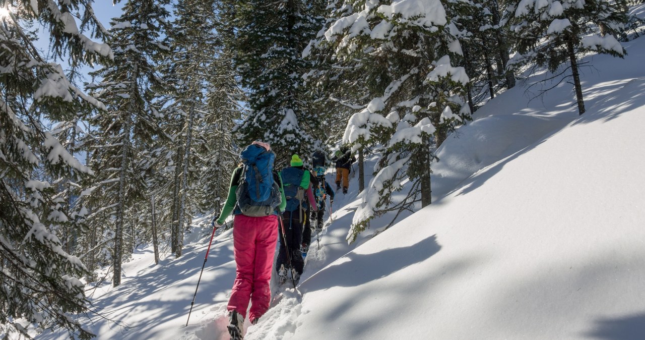 W czasie weekendu majowego narciarze oraz skiturowcy nie będą mogli korzystać z tras w Tatrach Zachodnich, wciąż jednak mogą się wybrać w Tatry Wysokie lub skorzystać z tras zjazdowych w Kotle Goryczkowym /123RF/PICSEL