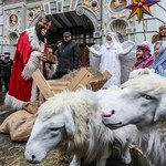 W Czechach w żłobku zamiast Jezusa leży kot 