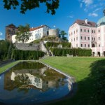 Czechy W czeskim zamku pokazano płynny skarb. Jest wart 4 mln euro